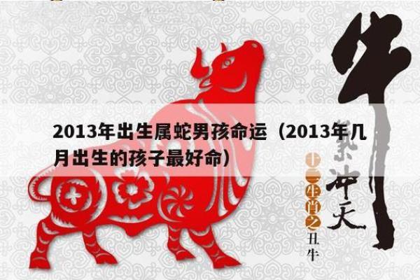 1965年蛇男命运解读：智慧与魅力的结合之道