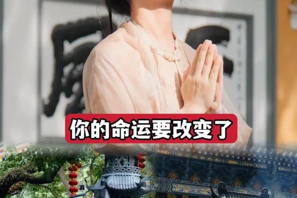 1965年蛇男命运解读：智慧与魅力的结合之道