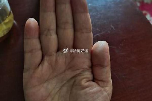 探秘19840407的命运密码:你的独特人生之旅 探秘19840407的命运密码:你的独特人生之旅