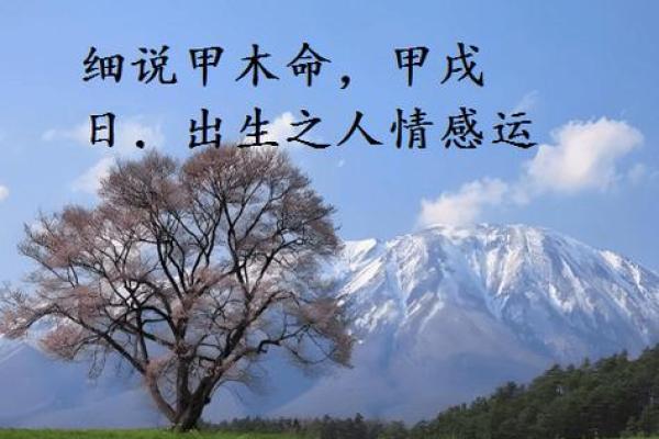 探讨木命与孩子命运：她们的特质与潜力之旅