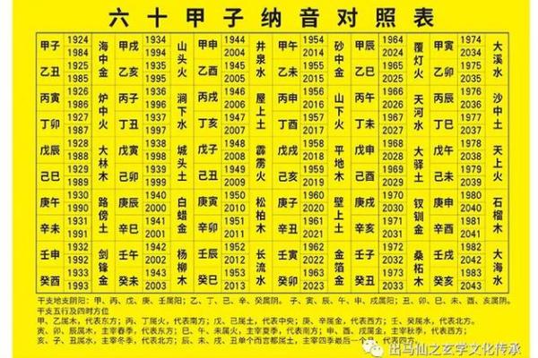 火马命与哪些命最相配？揭开命理奥秘的神秘面纱！