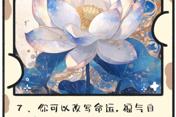 1969年正月25日出生的命运与生命之旅 1969年正月25日出生的命运与生命之旅