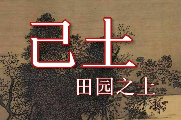 探究土命者的幸福色彩：什么颜色的土命最好？