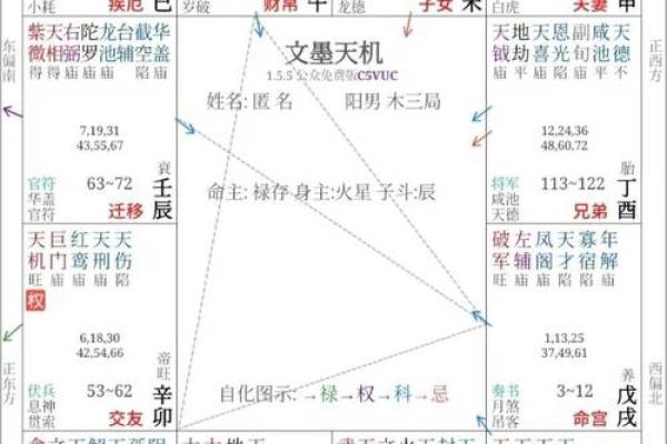 解析命坐子宫与命坐午宫的深层含义与影响