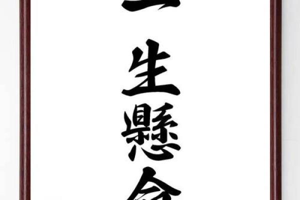 1993年出生者命运解析：追寻人生的意义与方向
