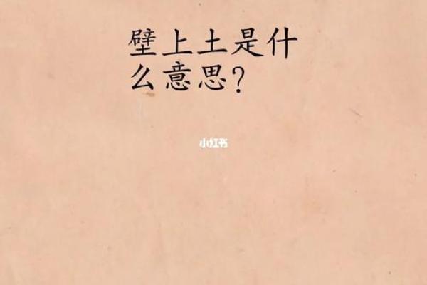 2021金牛土命解析:缺什么?如何补呢? 2021金牛土命解析:缺什么?如何补呢?