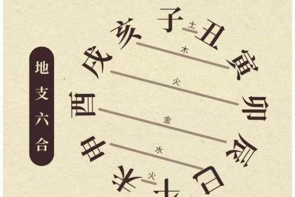 木命与土金命的相克缘由解析:命理的奥秘与生活影响 木命与土金命的相克缘由解析:命理的奥秘与生活影响