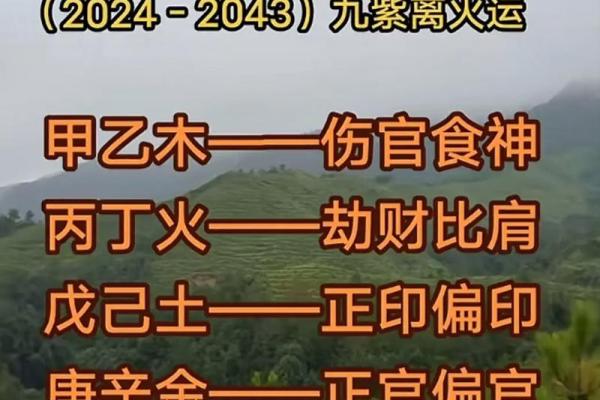 辛金日柱女命解析：优雅与坚韧的女性力量