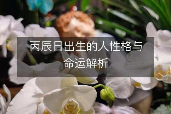 66年出生的人命运,解析五行与性格特征 66年出生的人命运,解析五行与性格特征