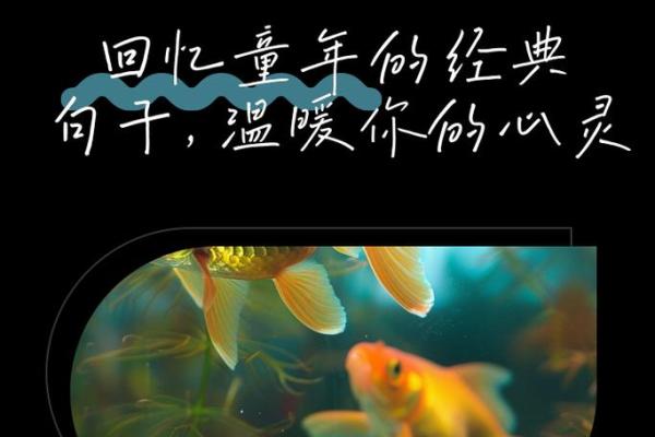 追忆1991年12月:寻觅那份温暖的记忆与希望 追忆1991年12月:寻觅那份温暖的记忆与希望