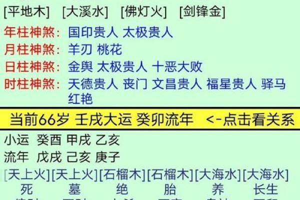 2005年出生的人五行属性解析与命理探讨