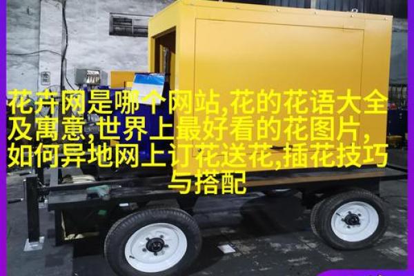 男饿金命与其他命相生相克，探寻最佳配对之道