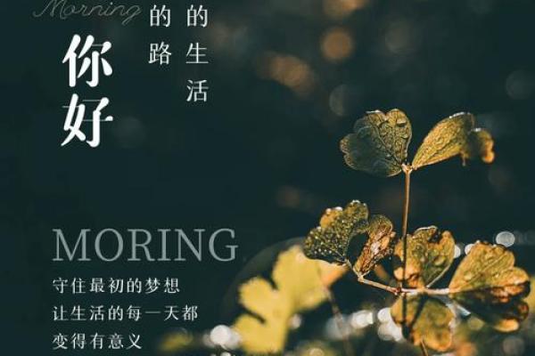 19951218出生的人生解析与命运探索
