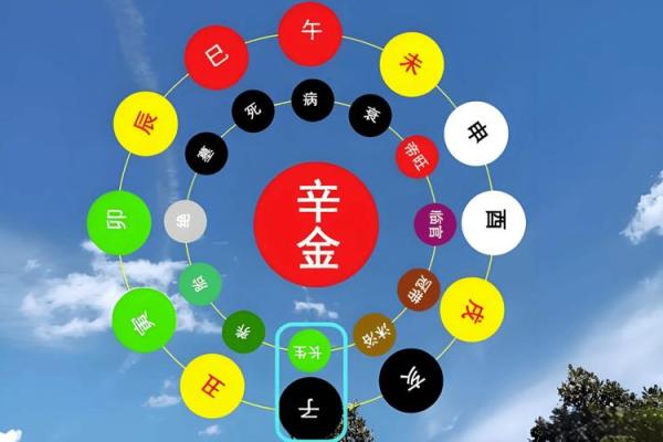1987年火命：与土命、金命的和谐相生关系探讨