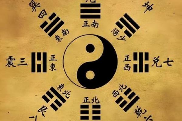1981年出生的命理解析：揭秘你的命运和性格特征