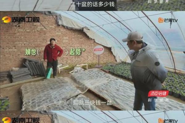 深入探讨坎命东四命的奥秘与生活启示 深入探讨坎命东四命的奥秘与生活启示