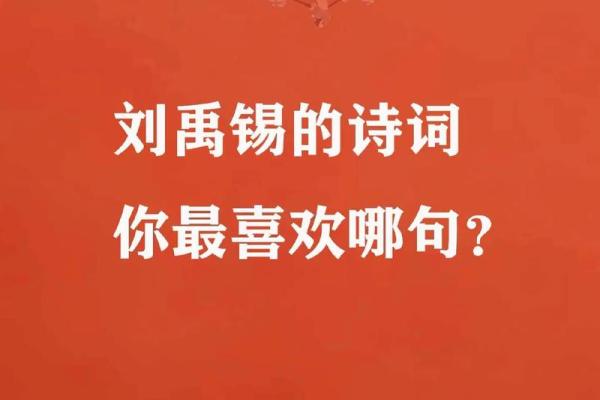 1995年10月28日阴历命运解析：如何发现你的潜力与优势？