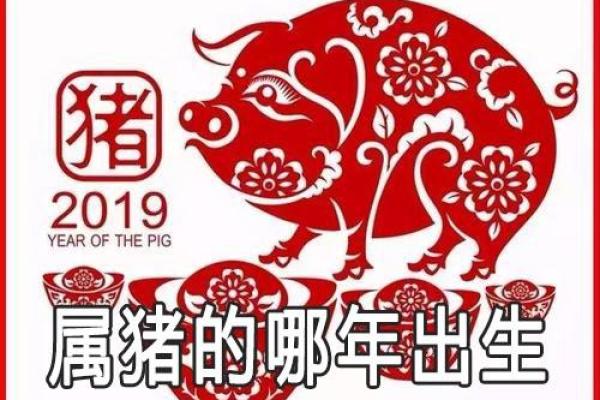 1984年出生的猪年女性，命运与性格的完美结合