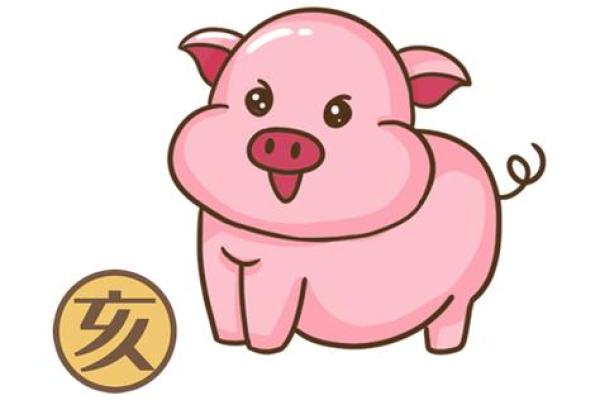 属猪之人：命理解析与生活智慧的完美结合