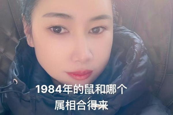 1984年出生的鼠宝宝是什么命？探寻水命与金命的奥秘