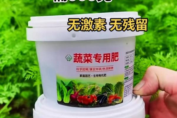 1995年属什么命？细聊“猪年”人的性格与运势