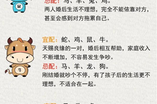 属相与命运 探讨十二生肖背后的命理玄机 属相与命运 探讨十二生肖背后的命理玄机
