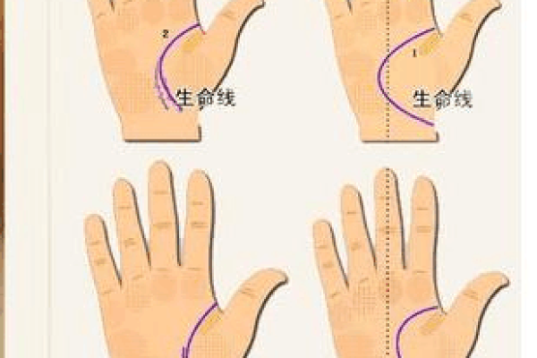 探索东命与西四命：命理之道的奥妙与迷思