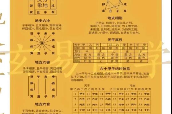2018年干支命运解读：你的命运由生肖决定吗？