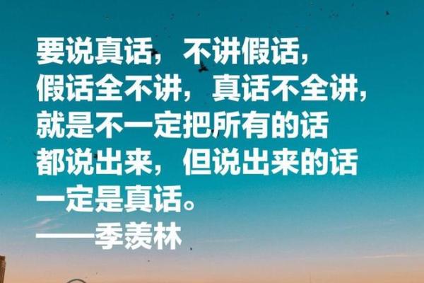 探讨“什么因什么命”的人生哲学与生活智慧