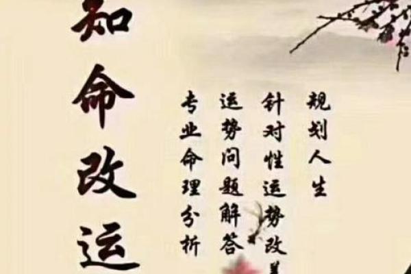 19860217出生者的命理分析：探索人生的机遇与挑战