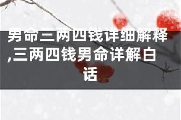 探究命理:两命与三命的深层意义及其对人生的启示 探究命理:两命与三命的深层意义及其对人生的启示