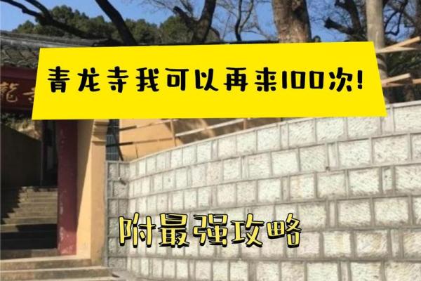 揭开2002年出生者命运的神秘面纱：走向未来的指引与启示