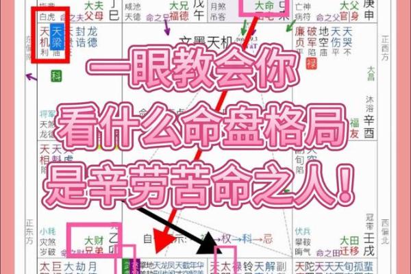 探索紫薇命盘：你命中的指引与人生方向