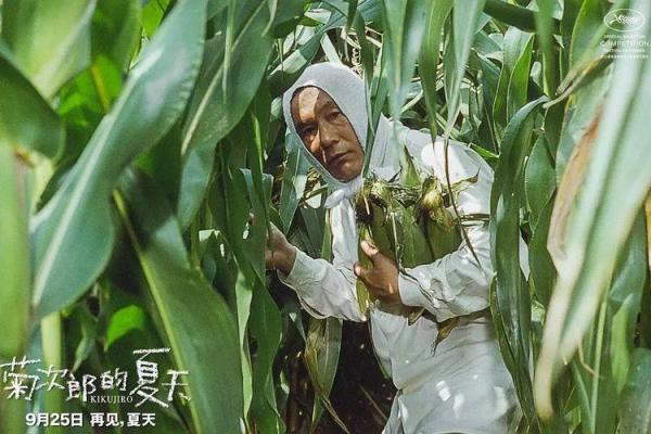 手指被砍掉的命运：从意外到重生的心灵旅程