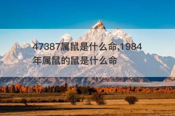1984年出生的人命运分析与生活智慧 1984年出生的人命运分析与生活智慧