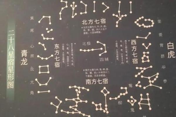 探索命理之谜：2007年命干娘的秘密和启示