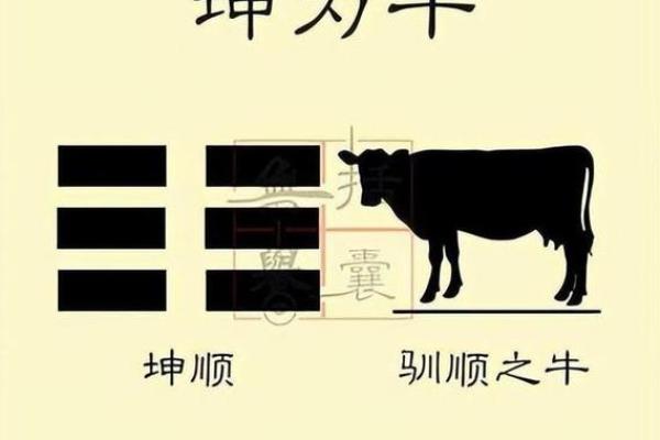 属猪人最强命格解析：揭示你的幸运与潜能