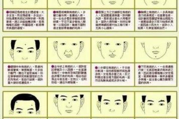 1996年出生的女性命运探秘：运势、性格与人生道路的分析