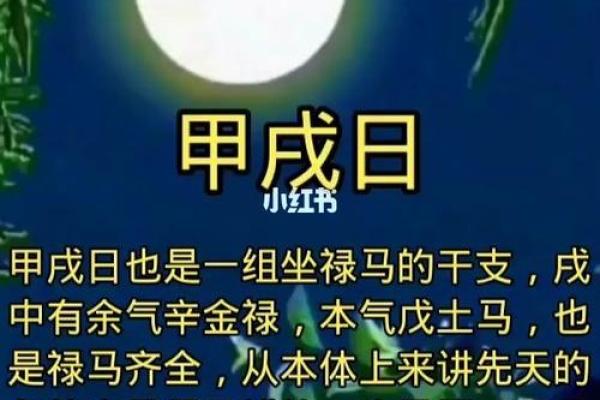 探秘甲戌乙丑命人的独特命理之路