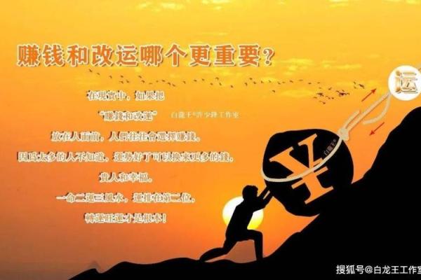 大林木命与其他命格的财运搭配解析，助你最大化财富积累！