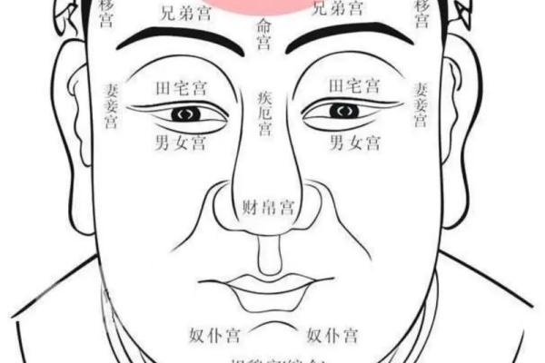 透视命局中的偏官：如何解读与运用命理智慧