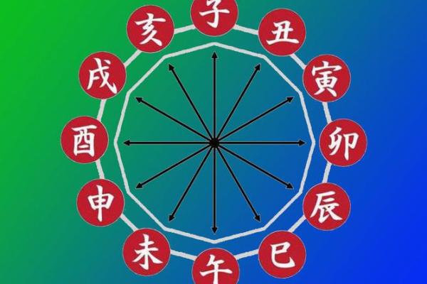 探秘五行命理：揭示生命中的隐秘力量与命运密码