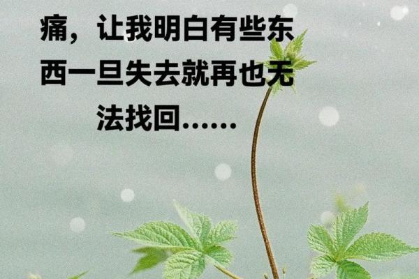 1971年男士命运解析：你的生辰与人生旅程的秘密