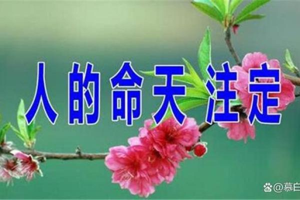 大富之命与贵命之间的微妙关系解读