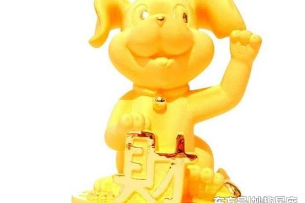 82属狗水命的忌讳与命理解析：如何助你顺风顺水
