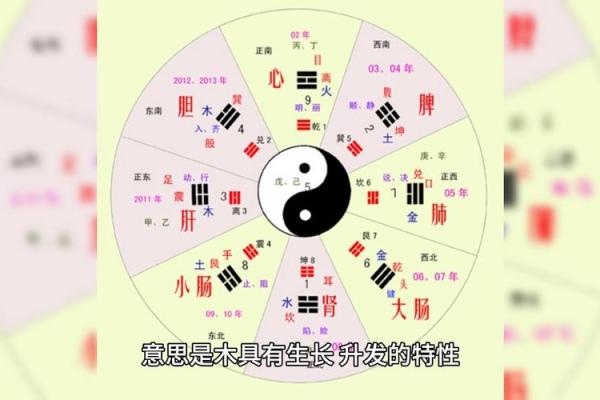 土火命木命的深度解析：命理中的五行之美与人生启示
