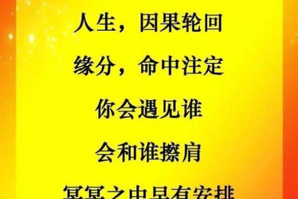 命中注定的缘分与感悟：探寻“命什么多什么”的人生哲理