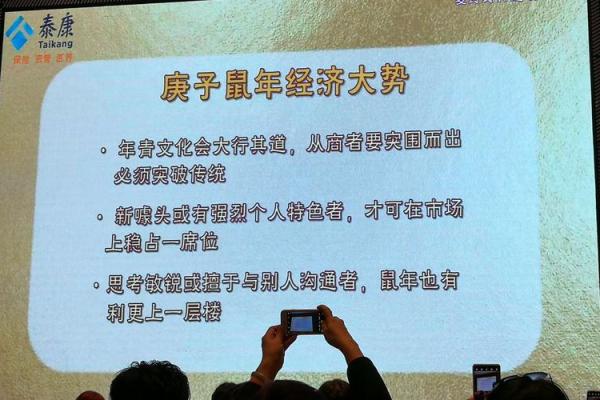 1982鼠年出生的命运与人生启示，揭示你的个性与未来