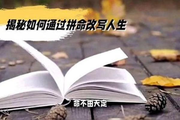 1997年出生的人：命理揭秘与人生方向探讨