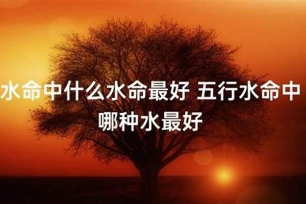 探索水命与杨柳木命:命理背后的智慧与玄机 探索水命与杨柳木命:命理背后的智慧与玄机